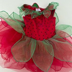 Gymboree Strawberry Costume Halloween Onsize Baby Outfit Red/Green